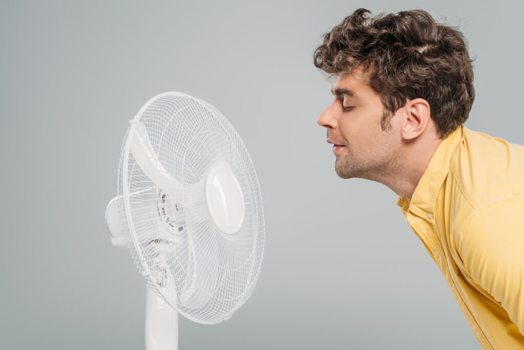 Portable Air Circulation Desk Fan